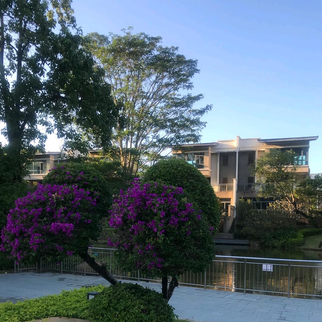 @小宁宁