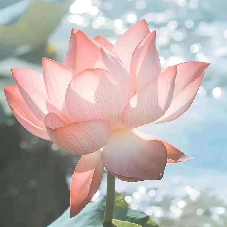 彩云之南～