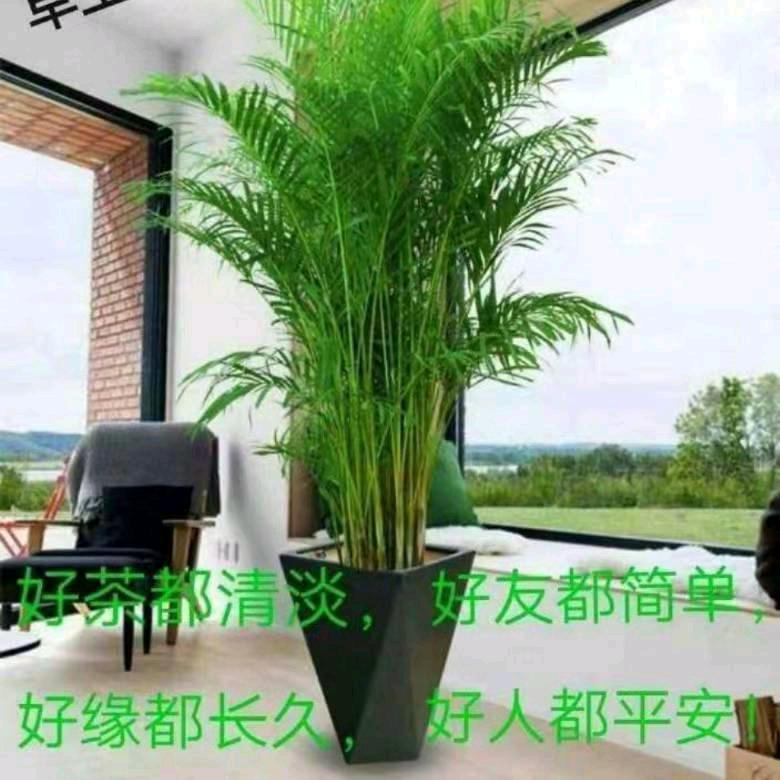 💑不💖丹💖