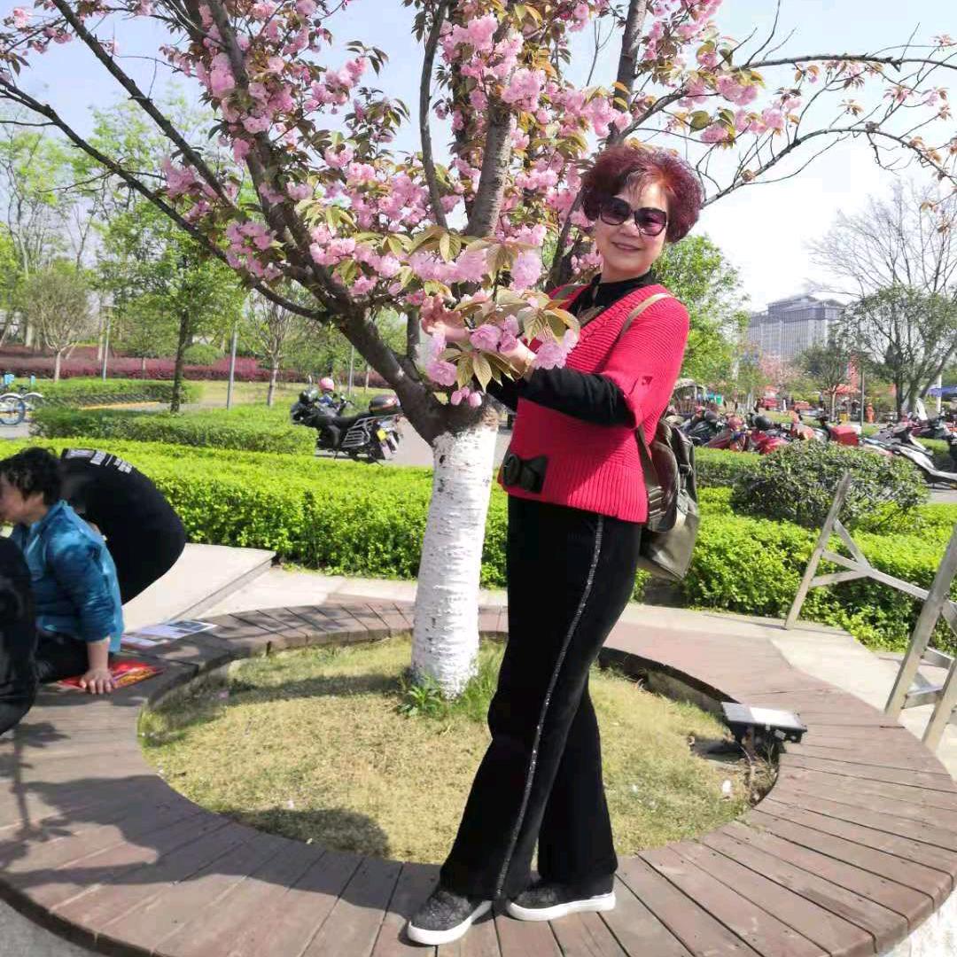 陈五姐
