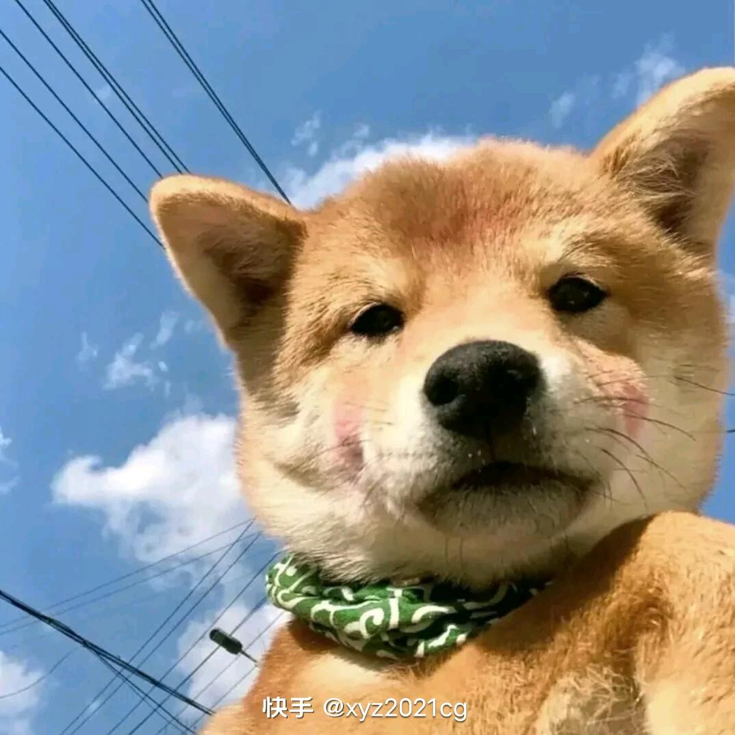 一醉解千愁。