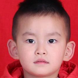 白水北塬红富士苹果