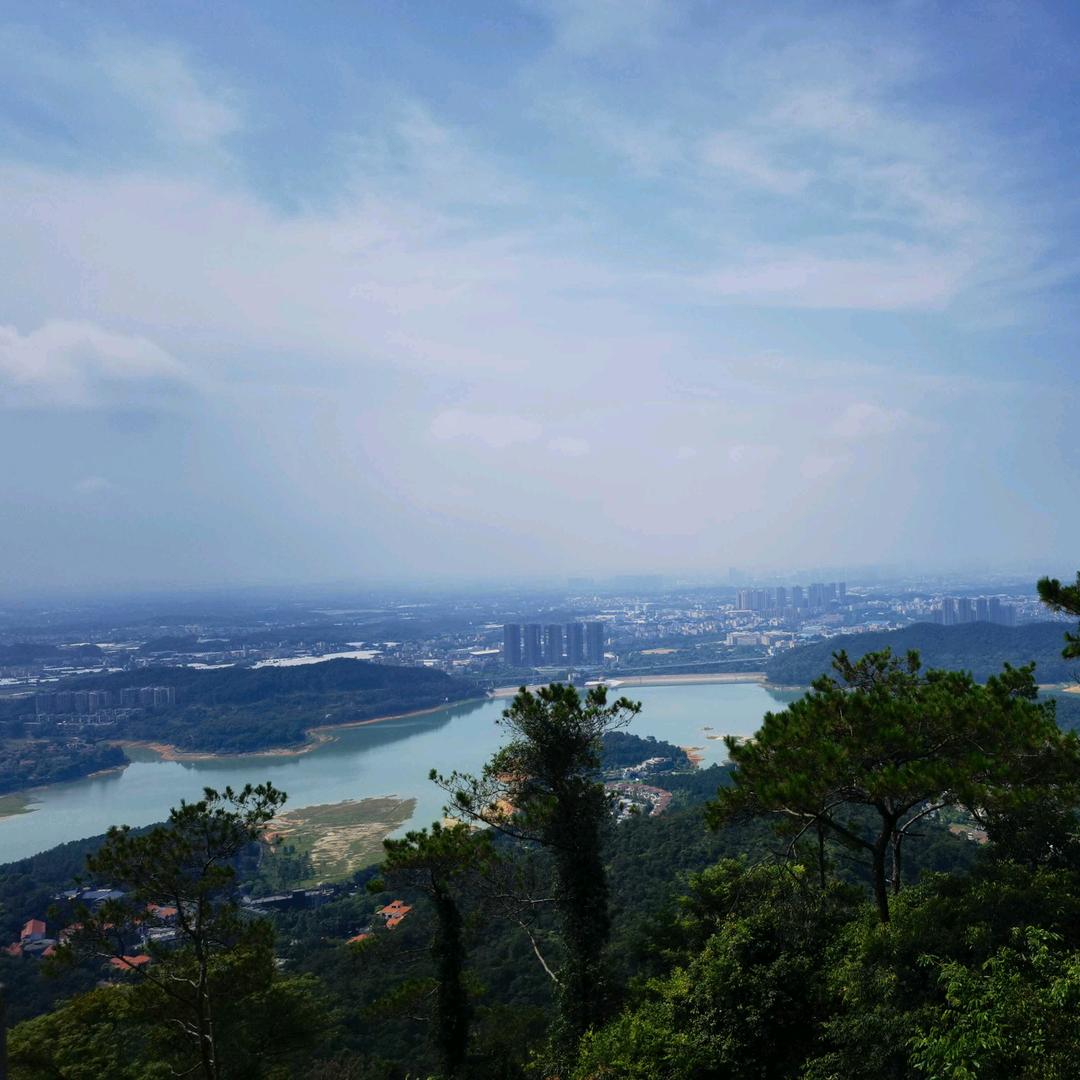潮流时尚版👍