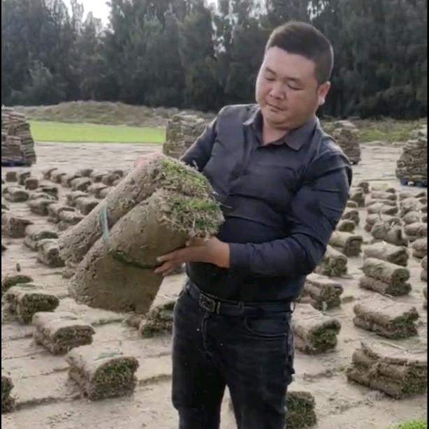 福建闽菁草业_边坡喷播植草
