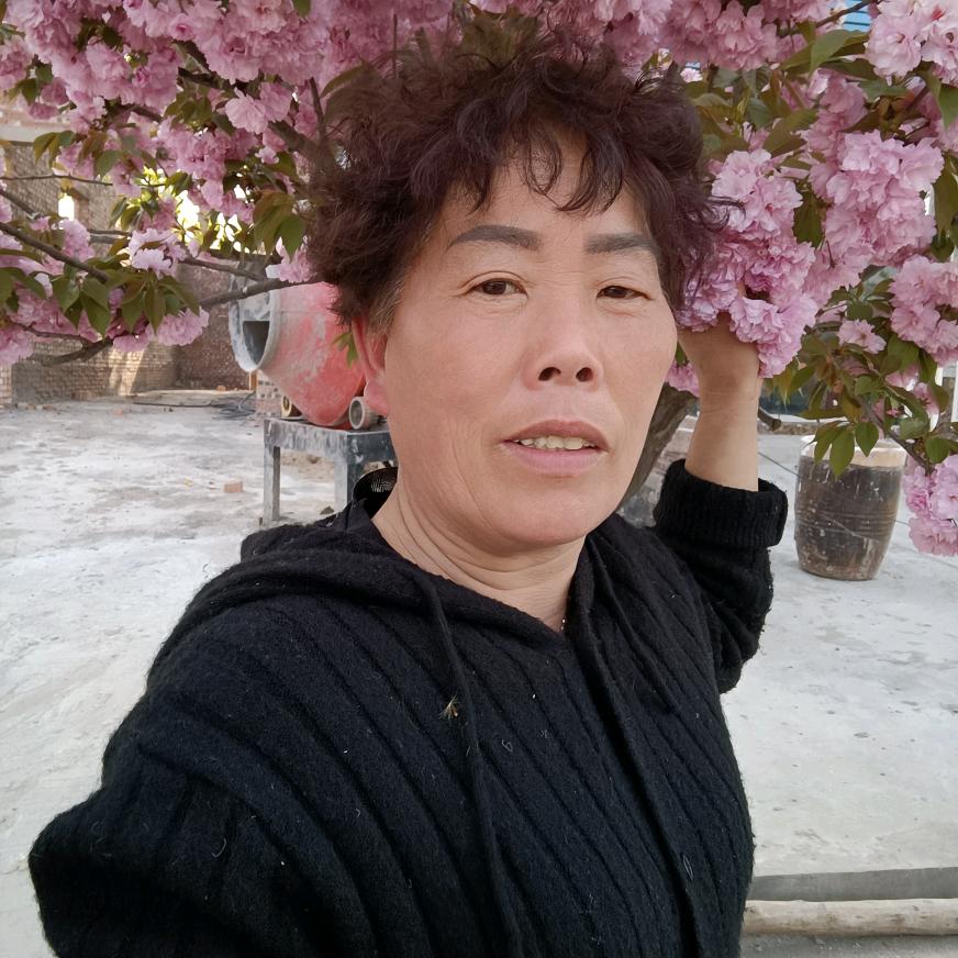 花朵(早上9.10开播)