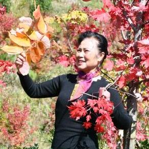 莲莲莲
