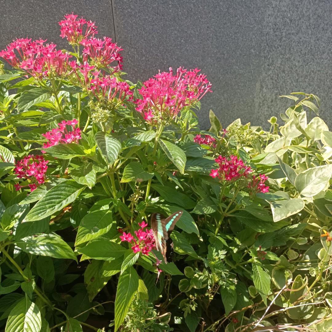 超乖的小财迷👧🏻✨：）