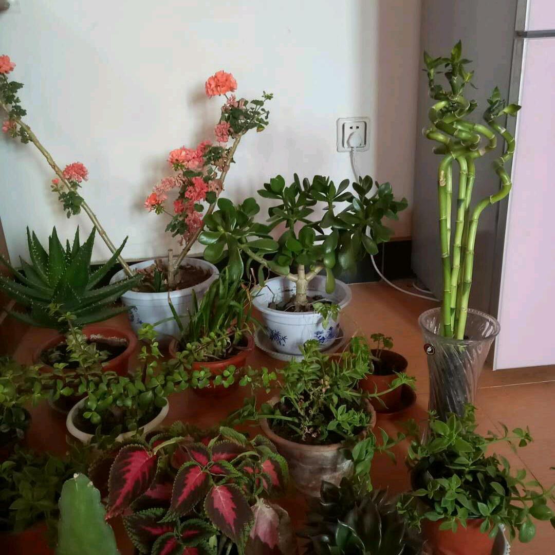 用户开心每一天