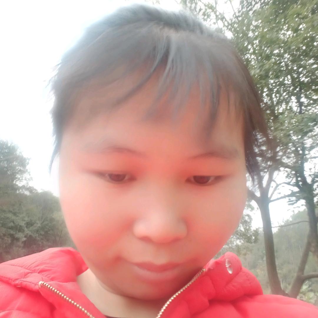 晓莲