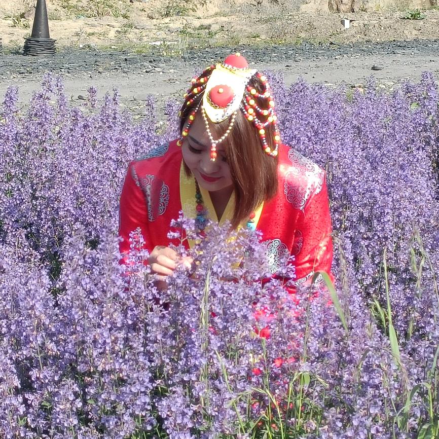 冬日暖阳