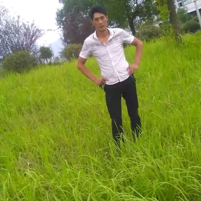 幸福一家47377