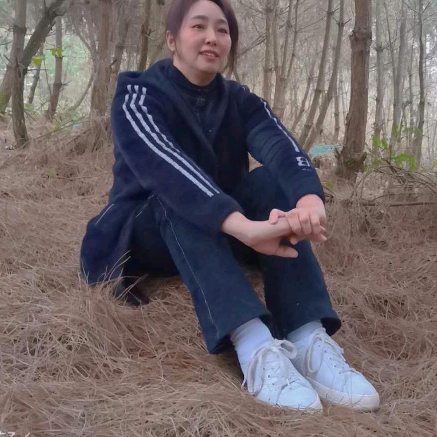 左登菊