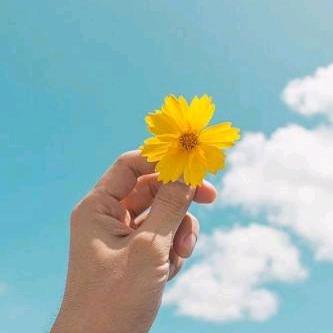 金色阳光🎉💖