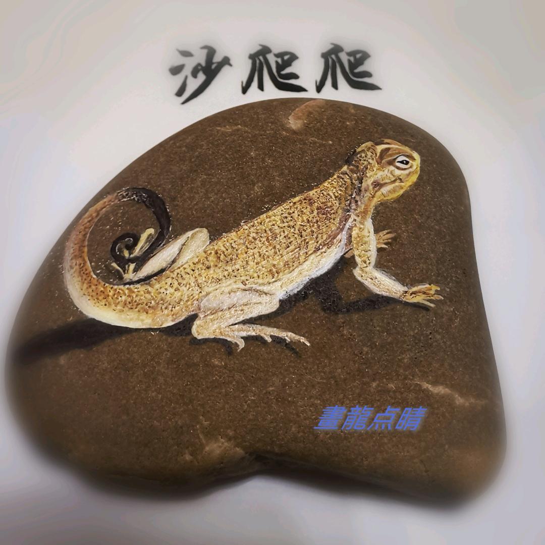 沙爬爬