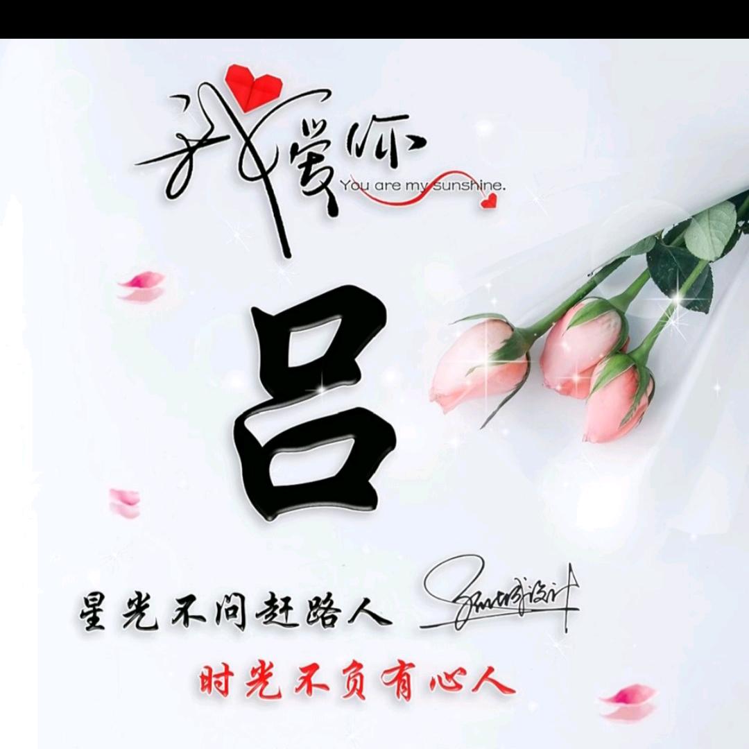 LV--俊姐