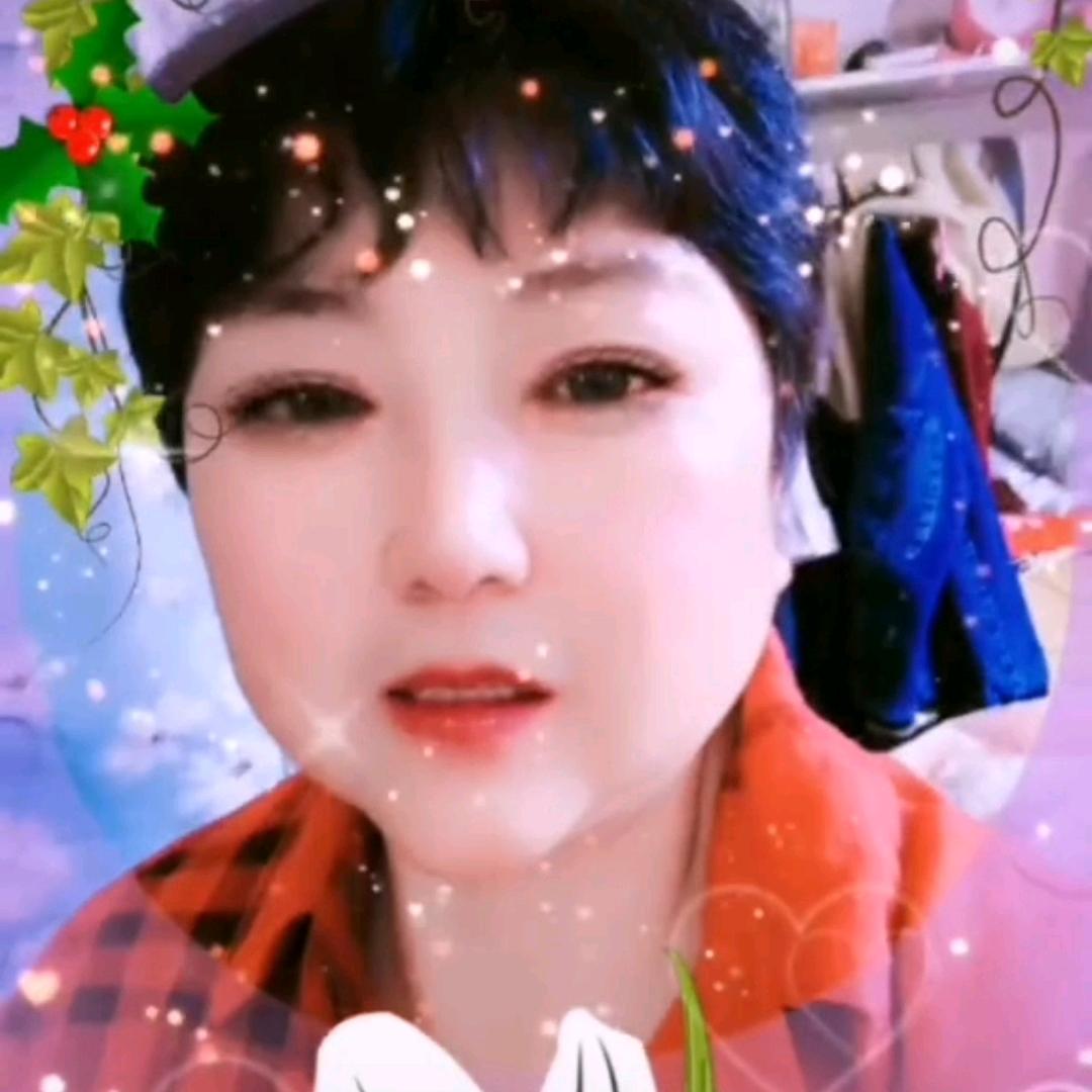 菊姐1202