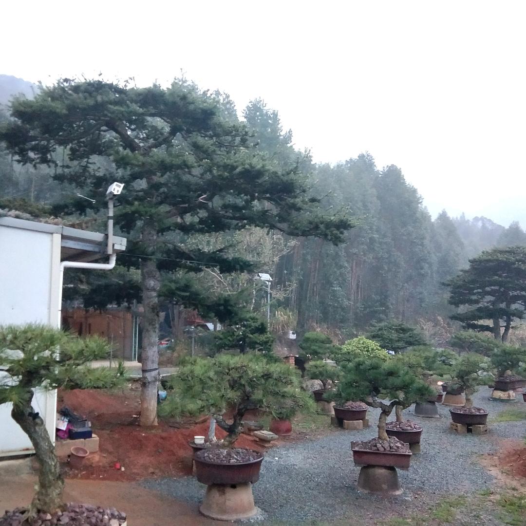 （乐树园）俞宏俊