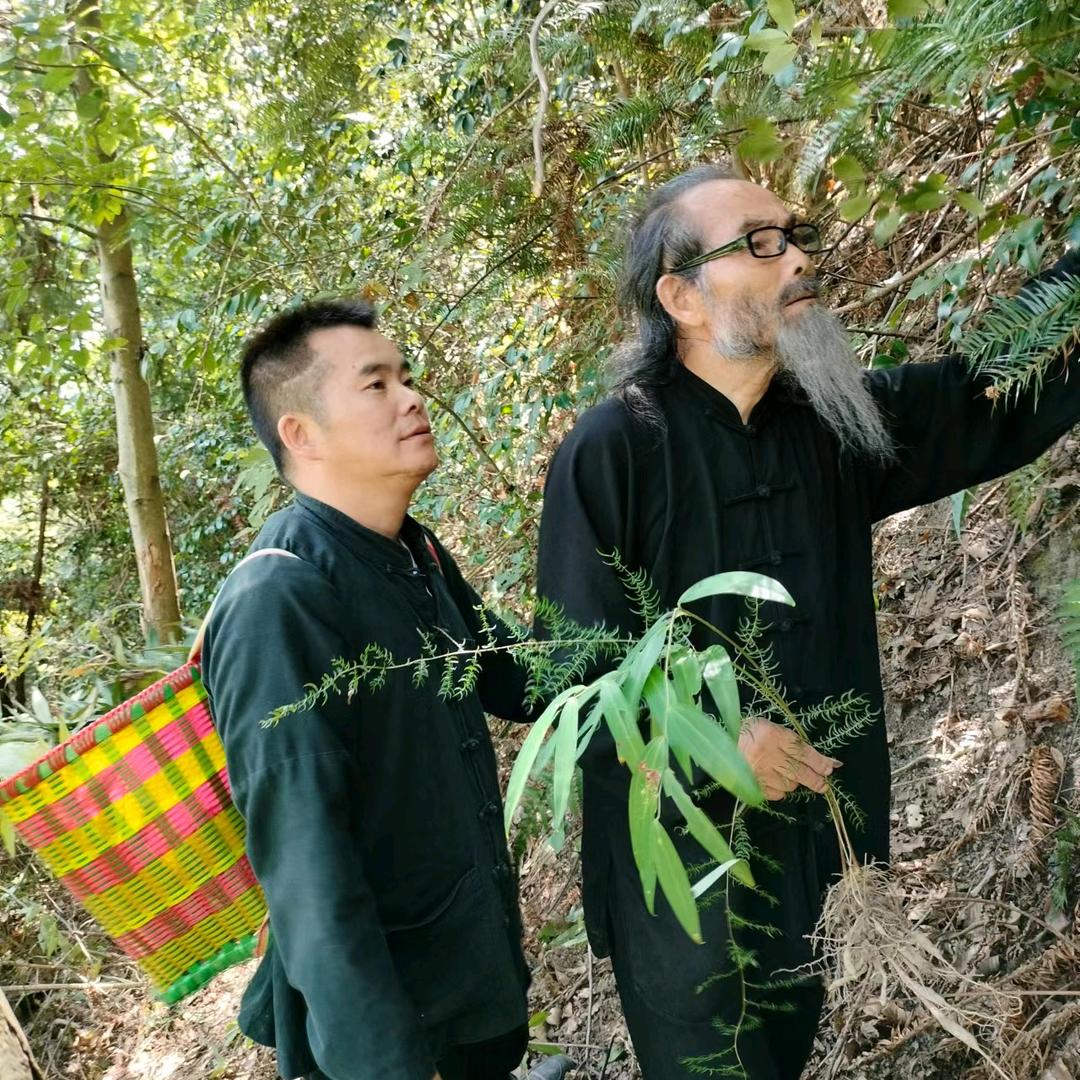 石氏传承济世采药哥