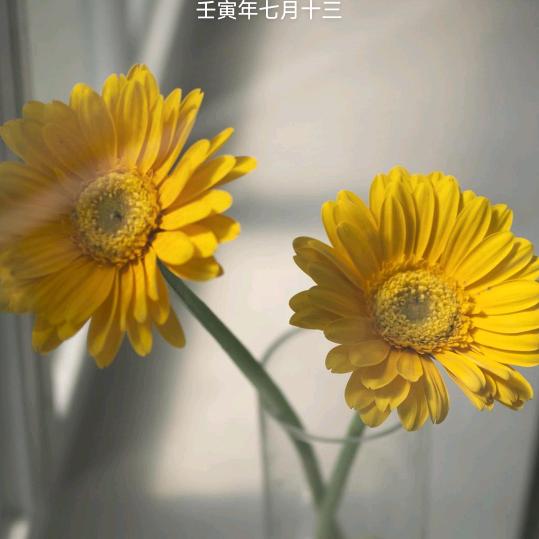 快乐无忧