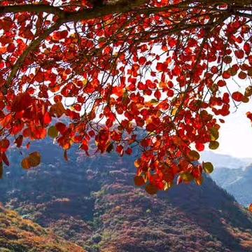 ☀️🌾💃🌱平常心