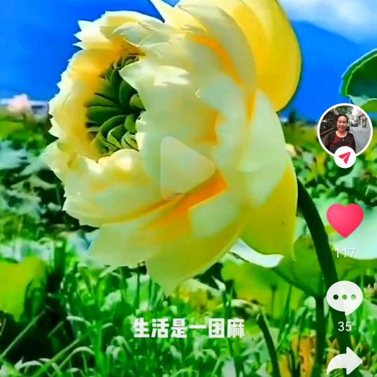 想我的时候问月亮.