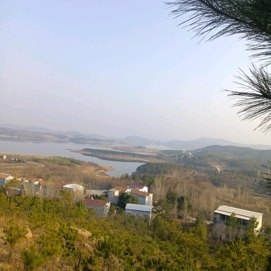 老四
