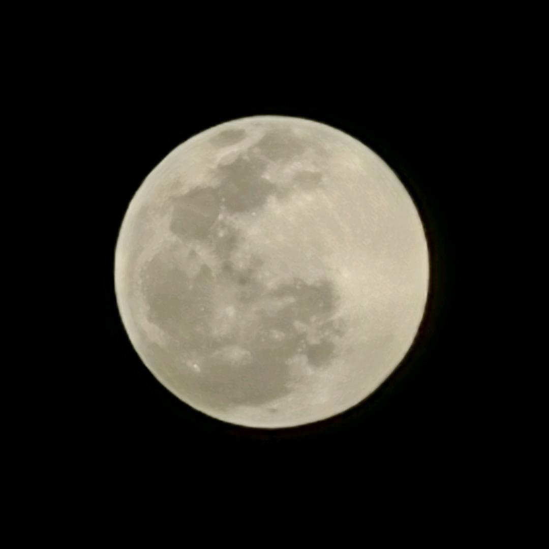 茅台红透半边天！