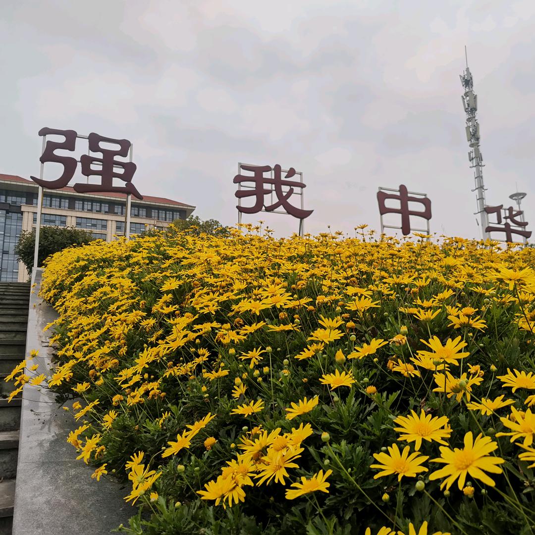 工程微世界