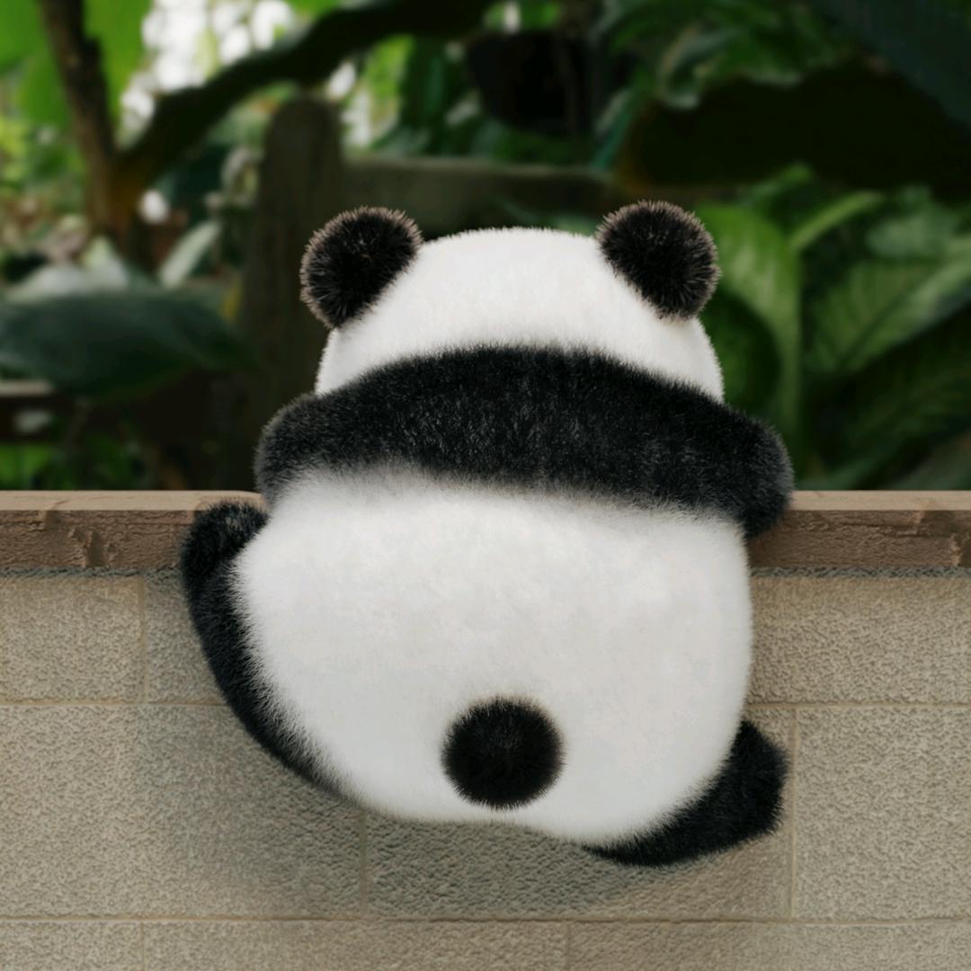 雨辰成长日记