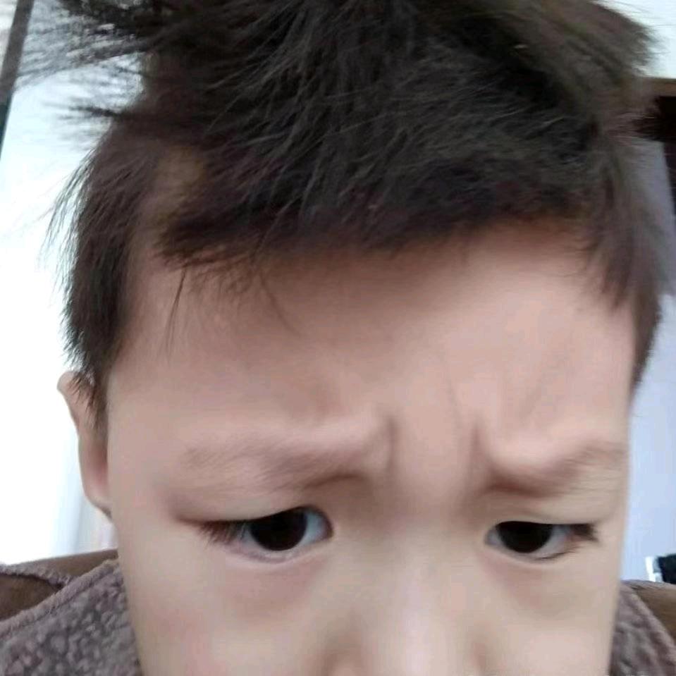 大鲨鱼🦈头像