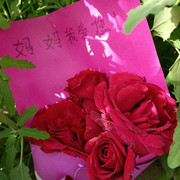 良杰