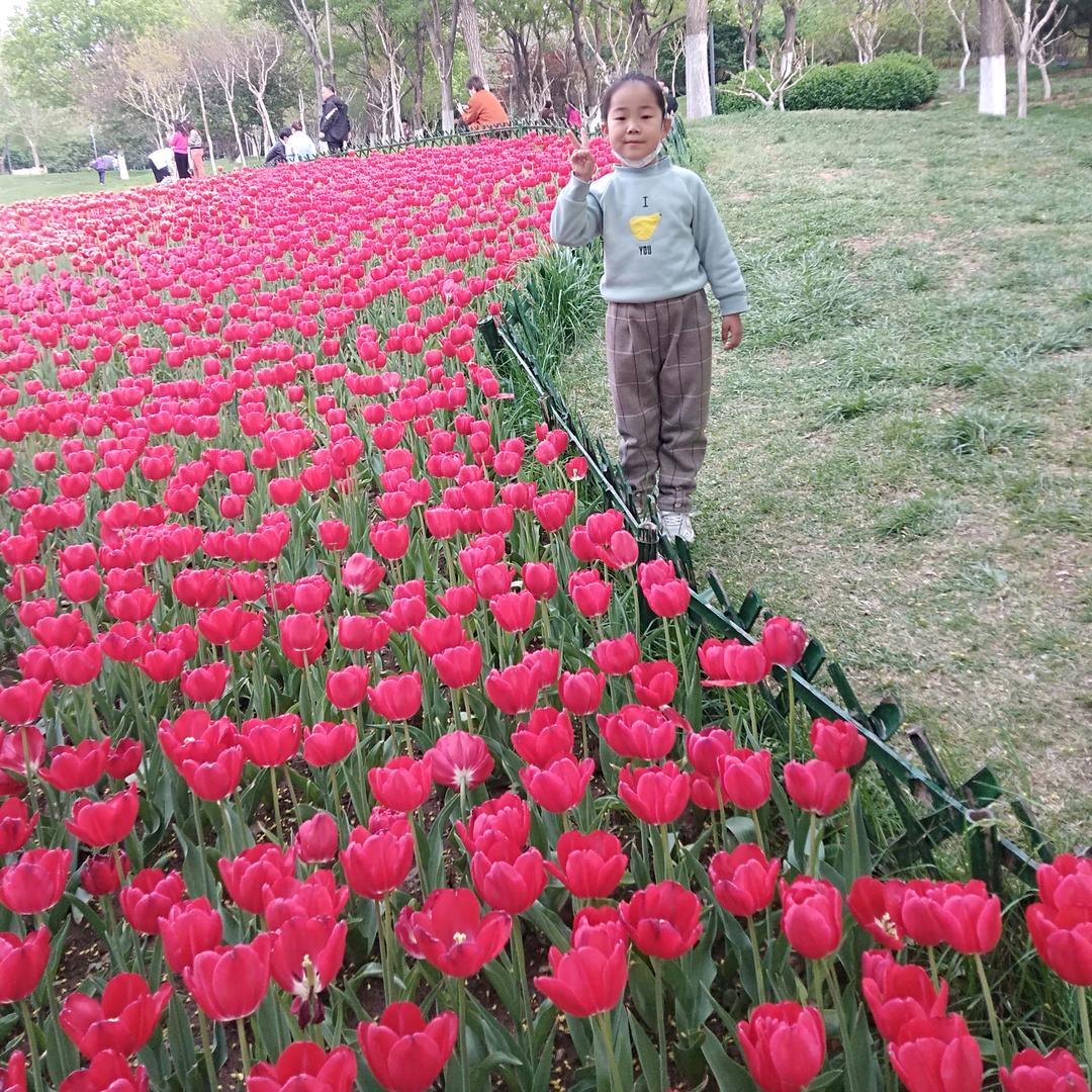 五一赏花