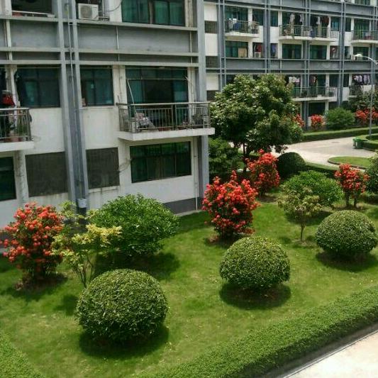 妮妮 点点 的妈咪（ 请勿连赞）