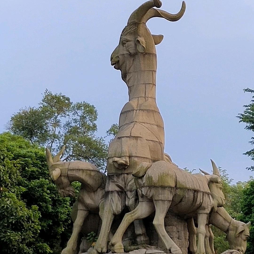 粤K观珠小老头