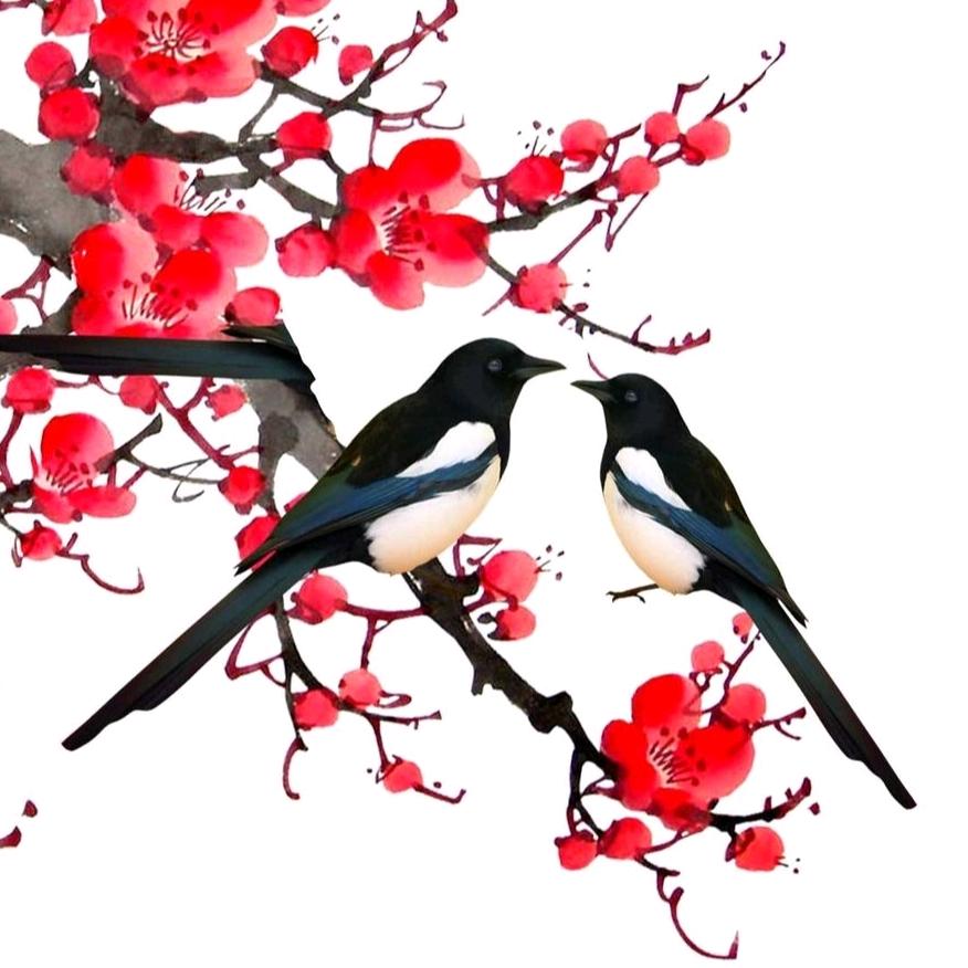 爱画牡丹的薇薇