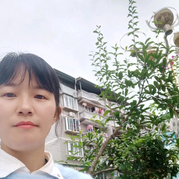 程心程意