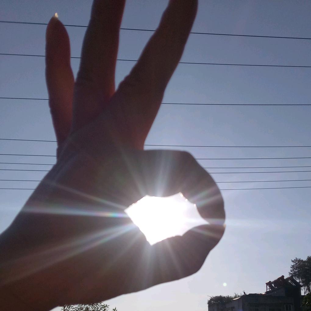 这个夏天我陪你