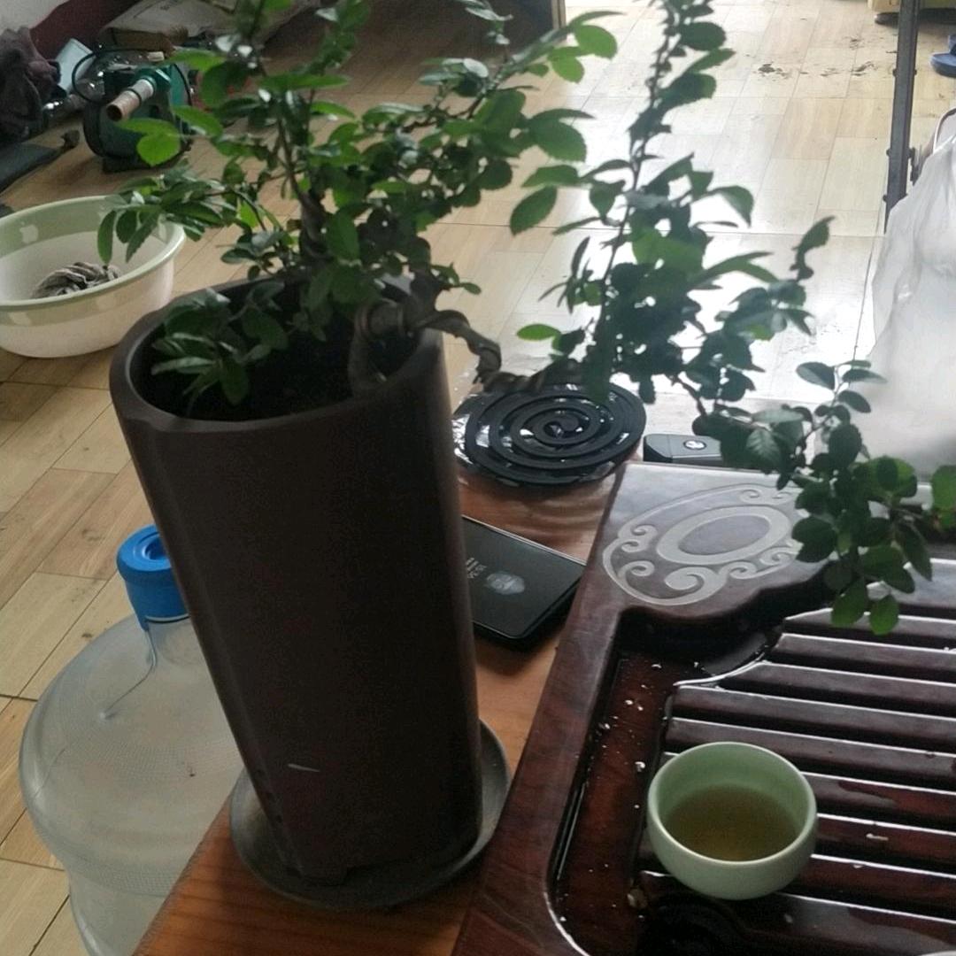 一生平安