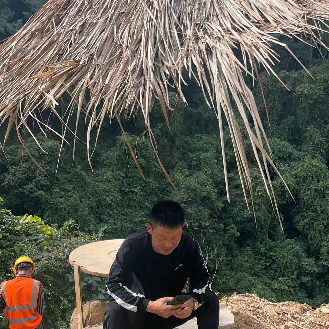 忘记过去