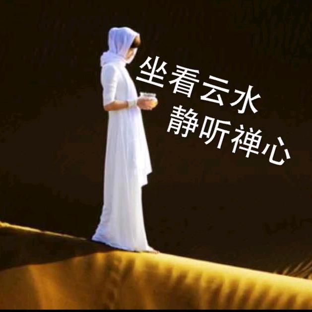 T云水禅心T