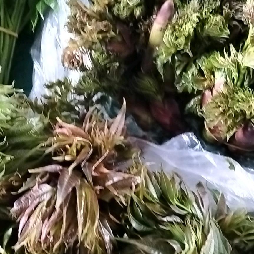 卖粑粑的小妹妹