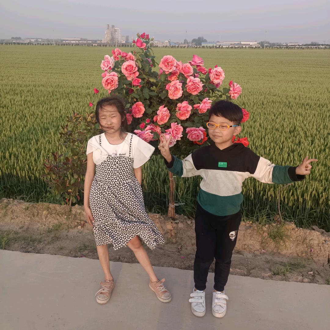 学绘珍惜
