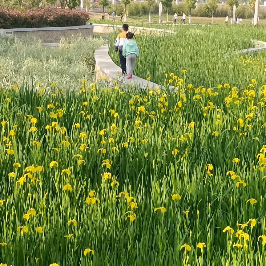 青春我要自由