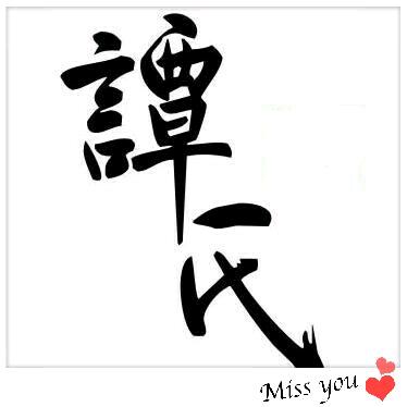 老谭户外可视