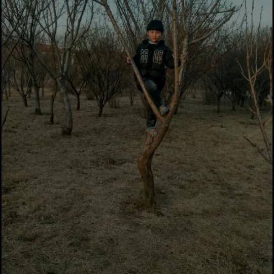 用户816884572192忍