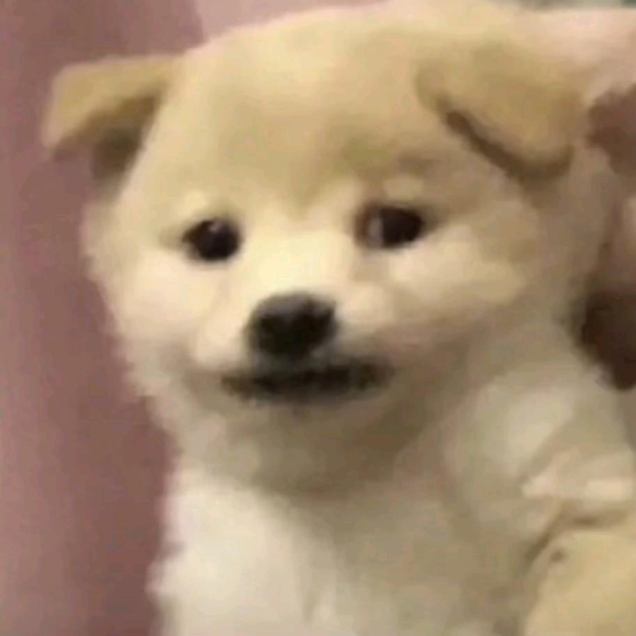 暮