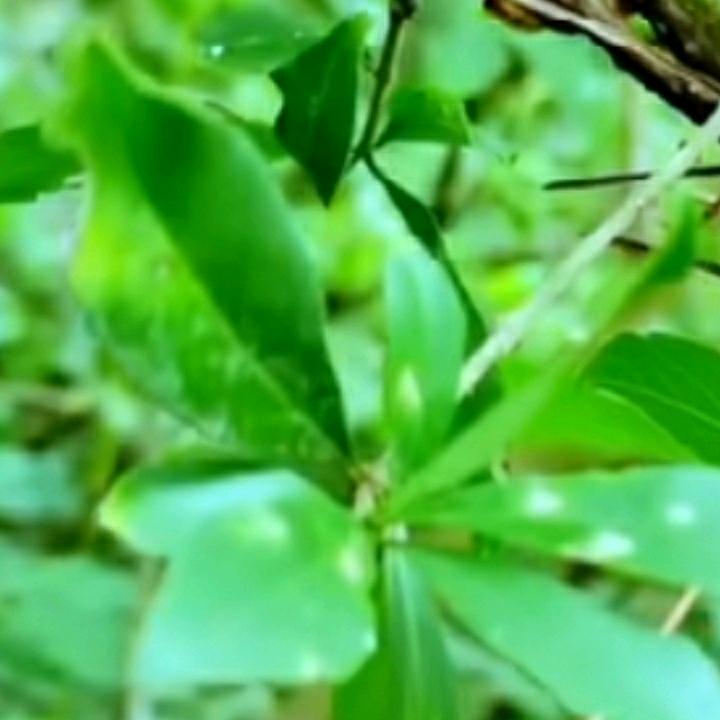 浩❤哥
