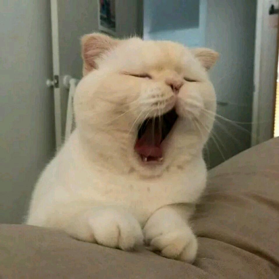 良月二三
