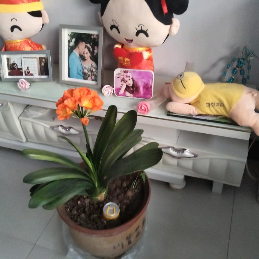 心态好一切都好