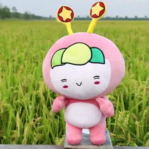 忘记过去🌷☔️🌸